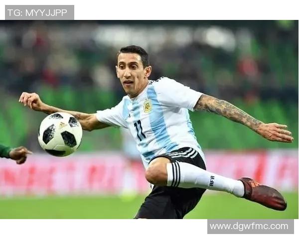 足球明星Arshruin10号的传奇之路与辉煌成就全解析