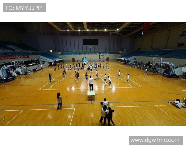 专业解读:南京排球队的阵地战打法 专业解读:南京排球队的阵地战打法